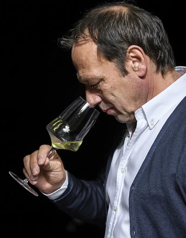 Mann riecht an einem Weißweinglas vor schwarzem Hintergrund trägt weiße Hemd und blauen Pullover